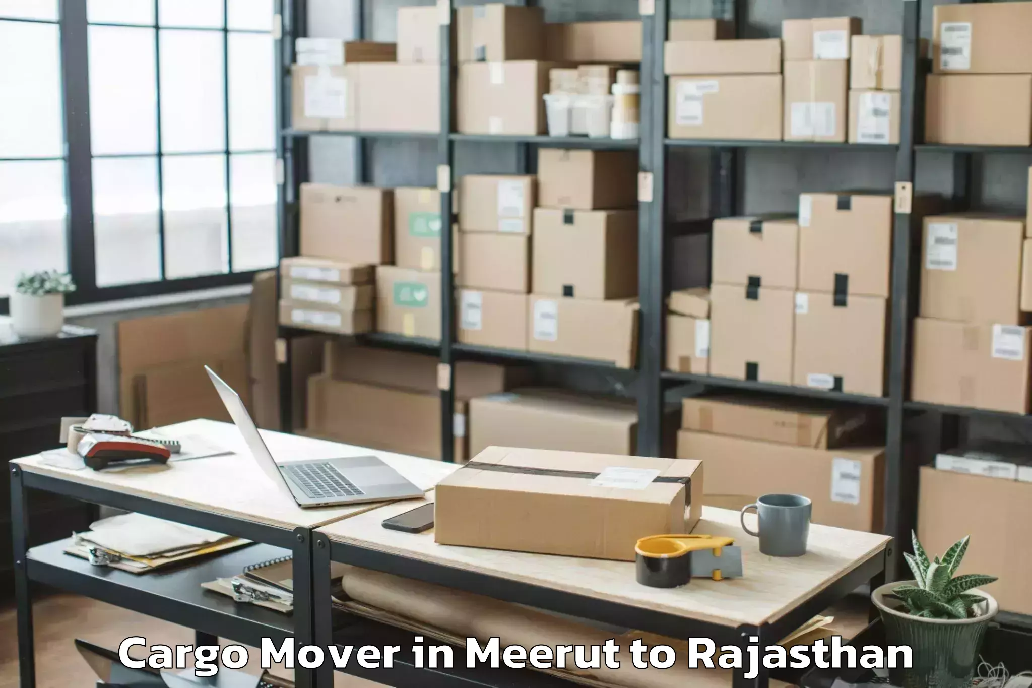 Comprehensive Meerut to Bhadasar Cargo Mover